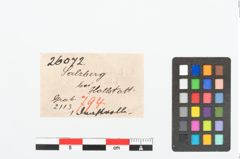 Etikett zu Bronzespiralröhrchen (NHMW-PRAE-026072)